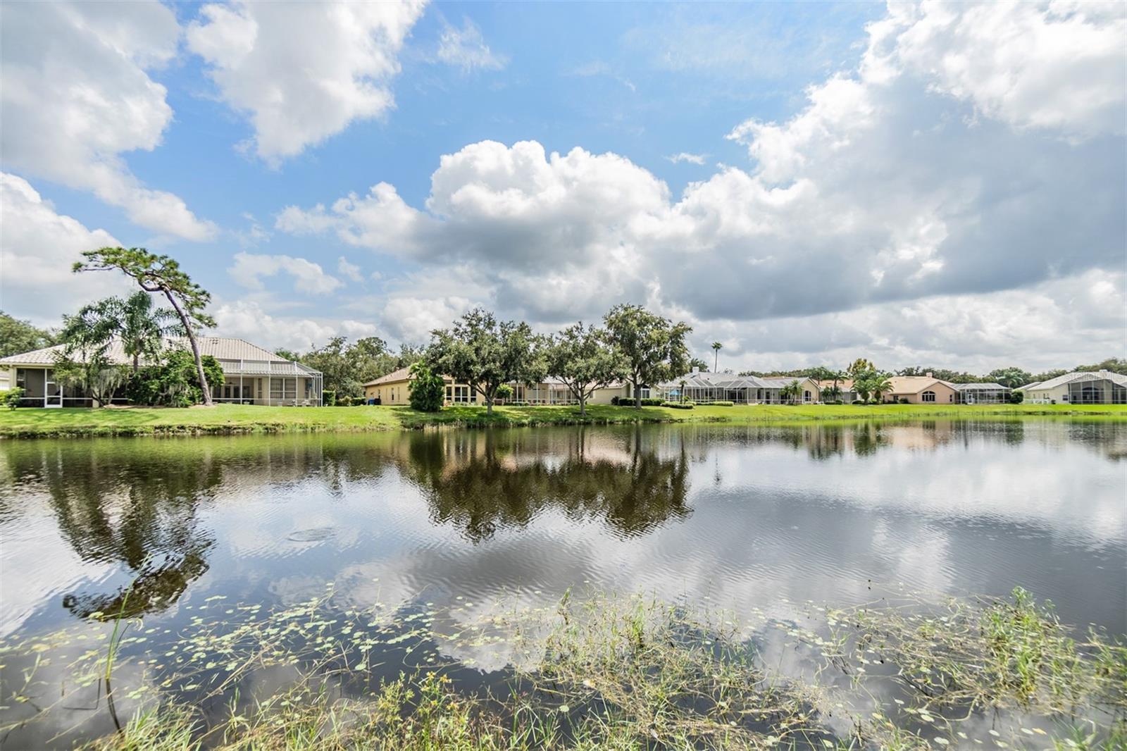 Backyard view - Cul De Sac front and pond view in the back