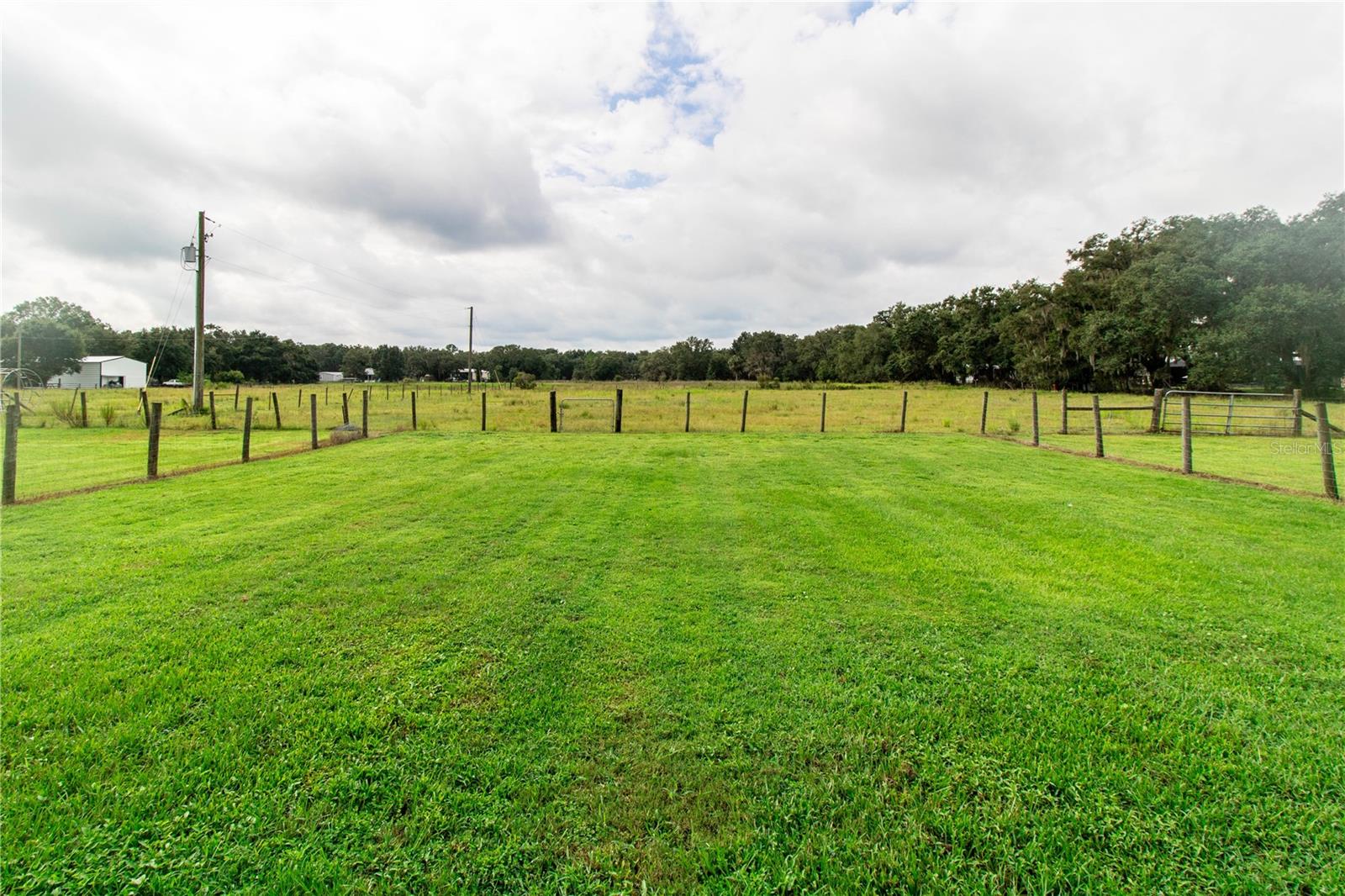 Backyard View