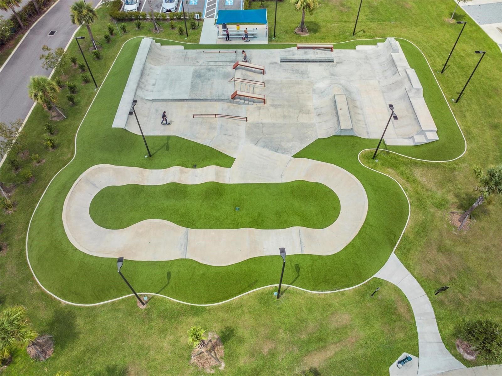 Carrollwood Park - skating park