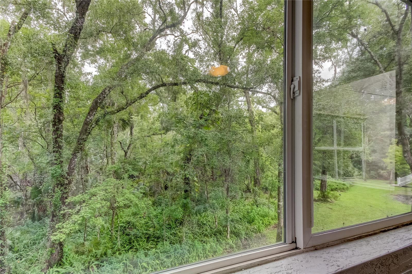 Conservation area view from enclosed balcony