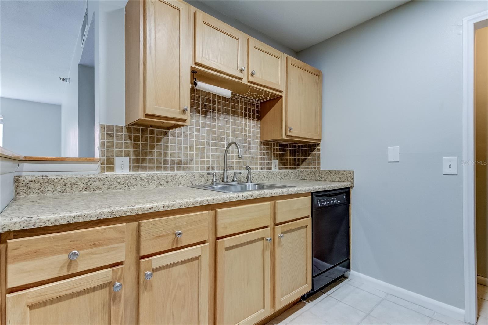 Kitchen cabinets, dishwasher included