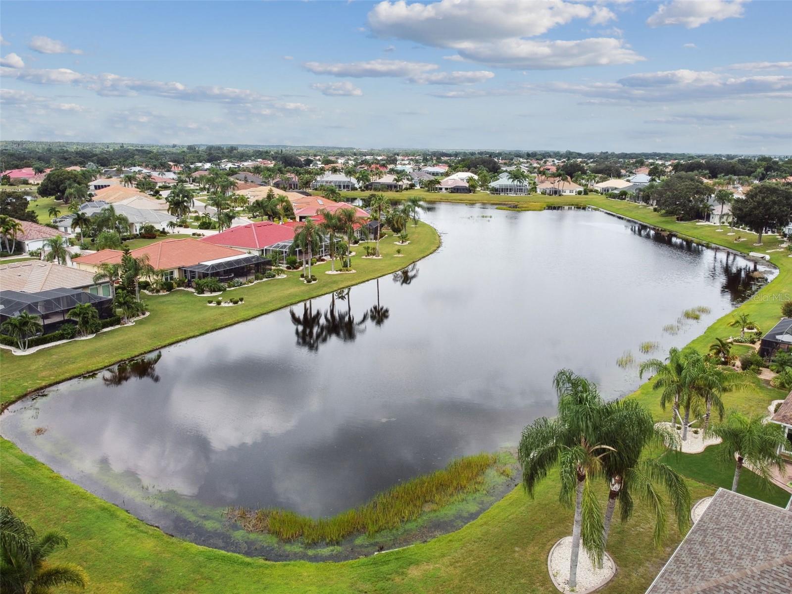 Pond View