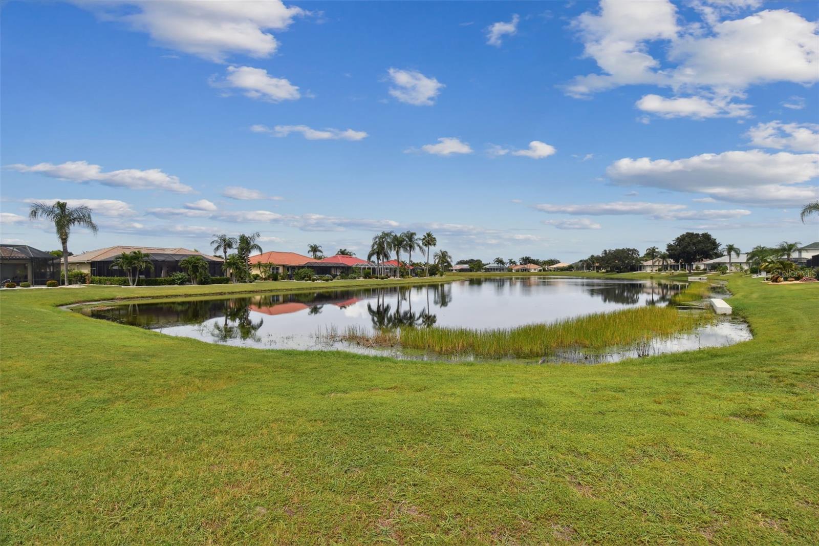 Pond View