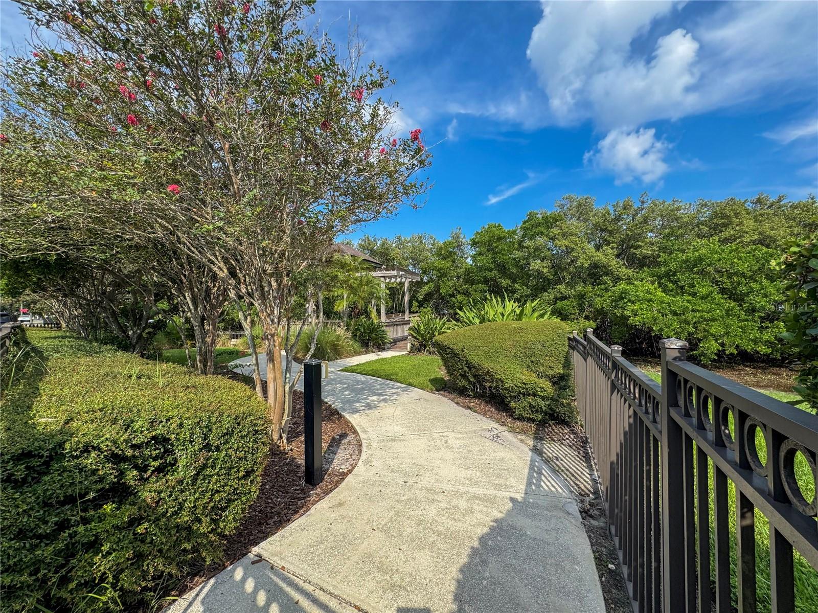 Path to the community observation dock.