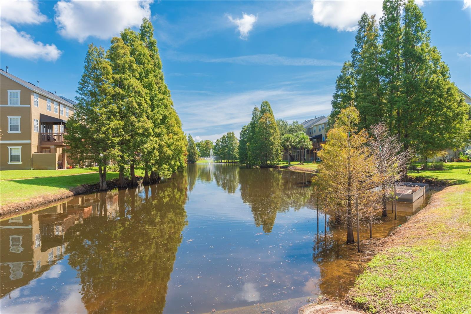 Community ponds.