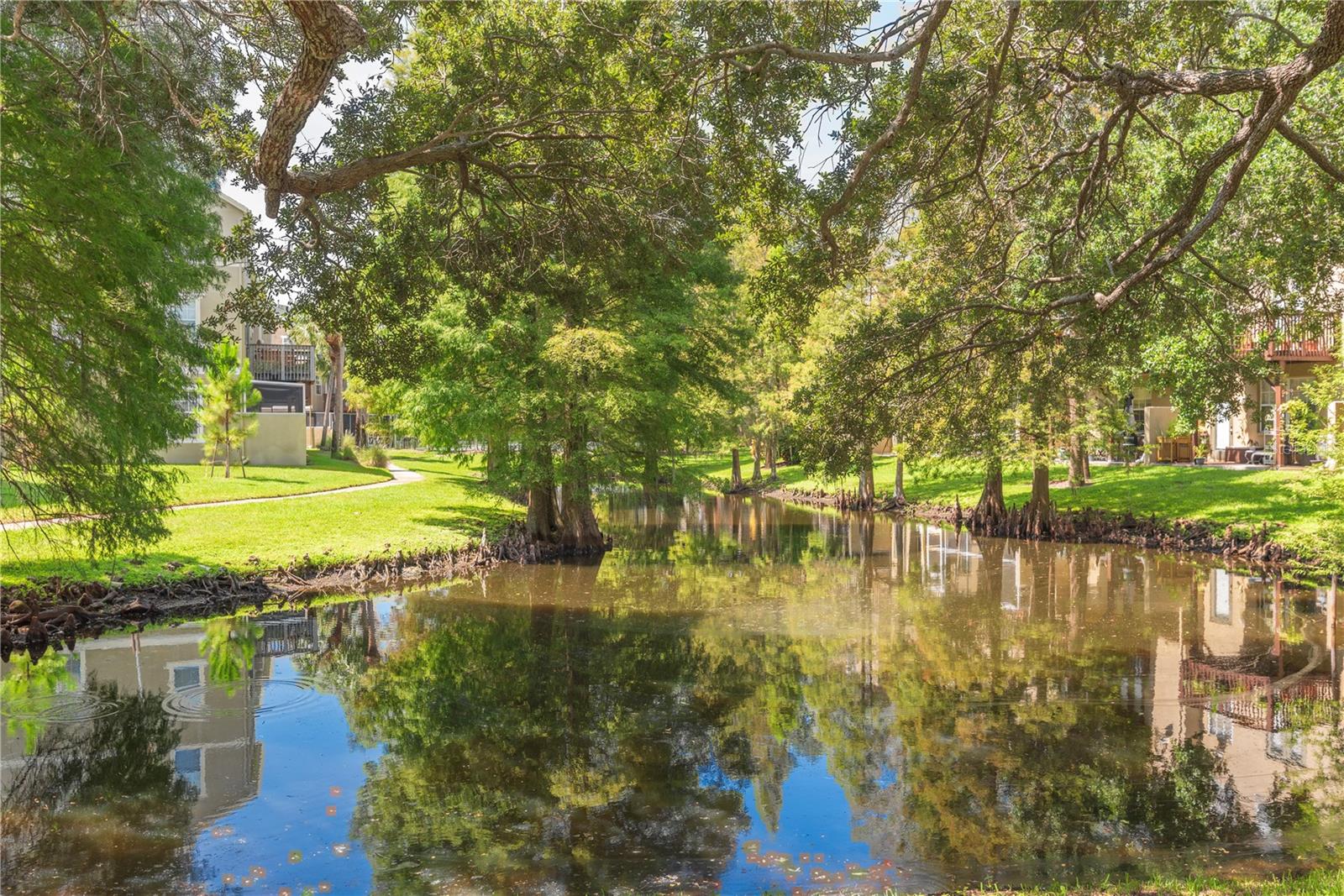 Community ponds.