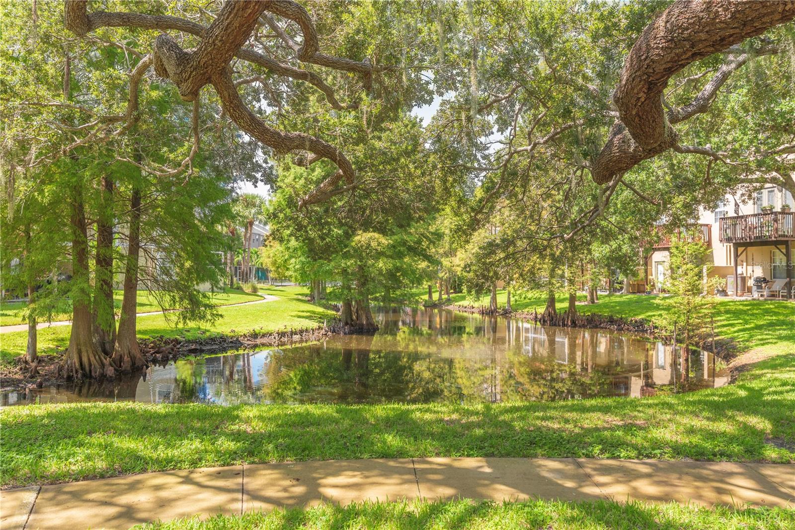 Scenic community ponds.