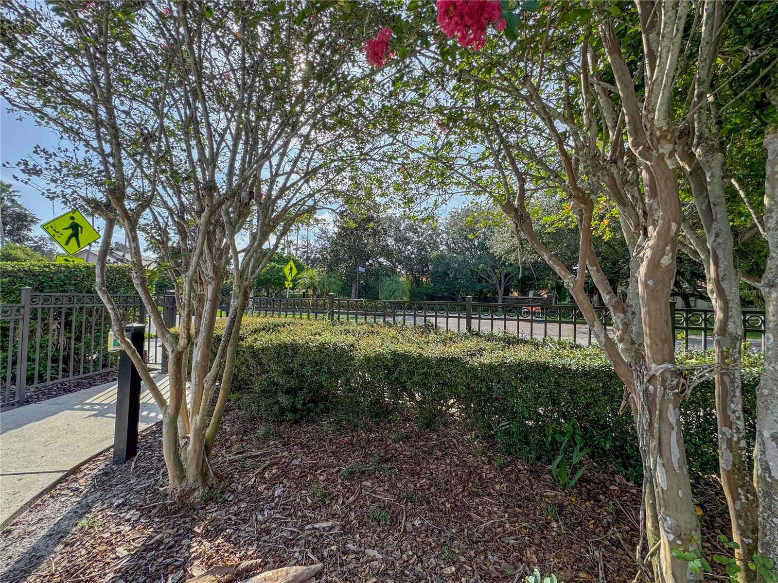 Observation dock across Bayshore Blvd from community gate.