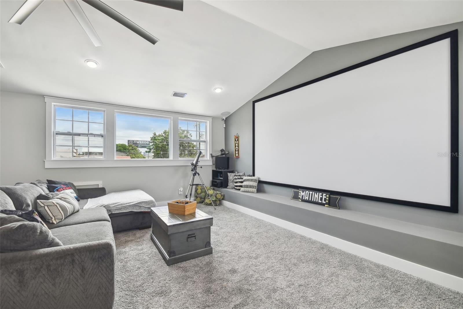 Movie Theatre Room