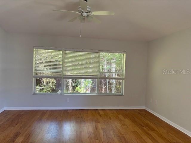 primary bedroom - large windows