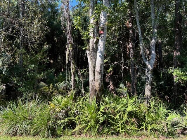 conservation backyard view