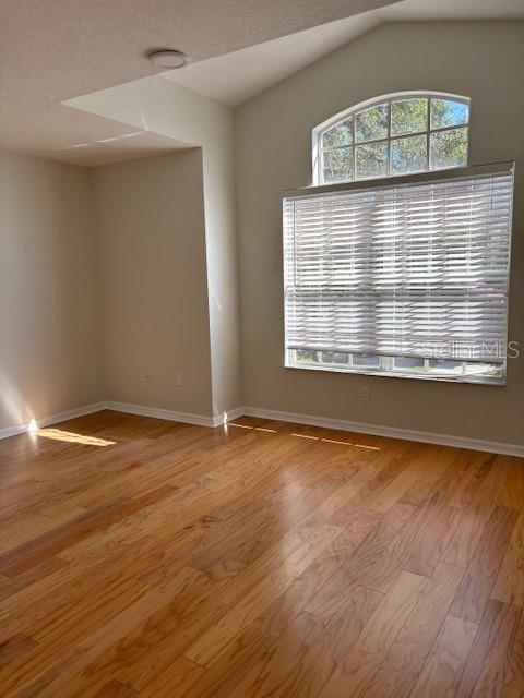 guest room - palladium window