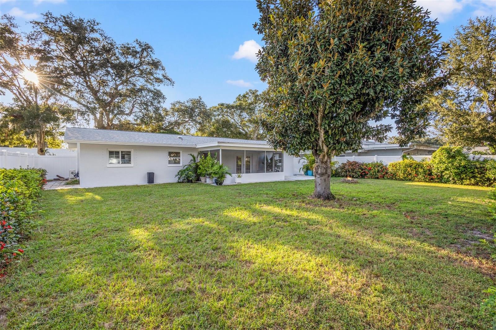 Beautiful backyard with new irrigation and fully fenced in