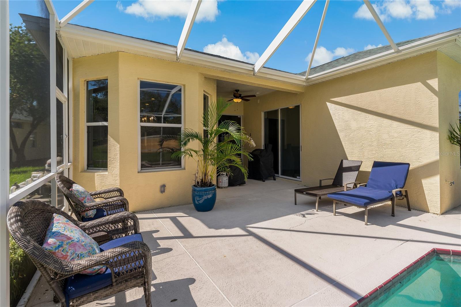 Pool Deck and Covered Area