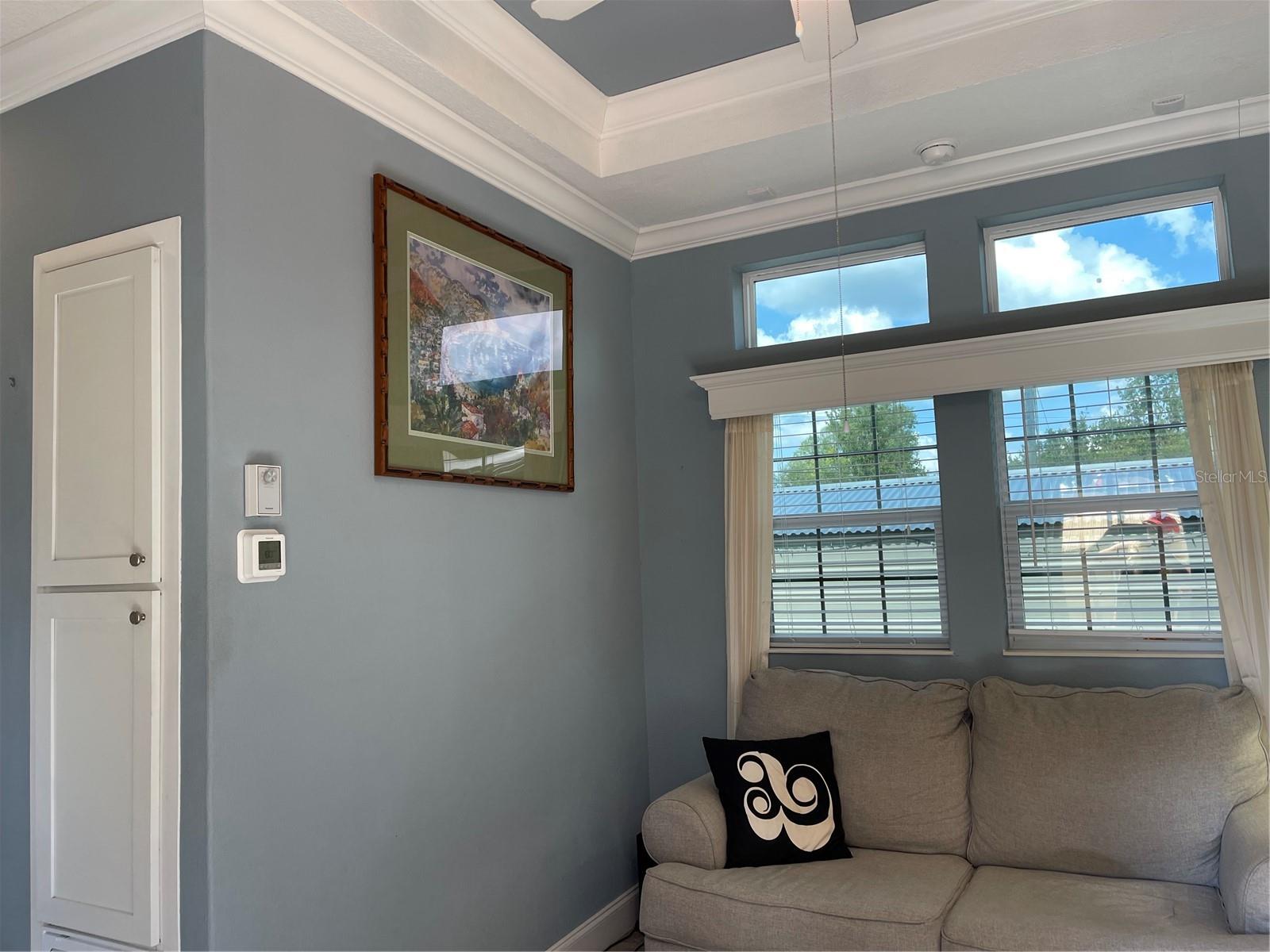 Tray ceiling in living room and extra storage cabinets near hallway.