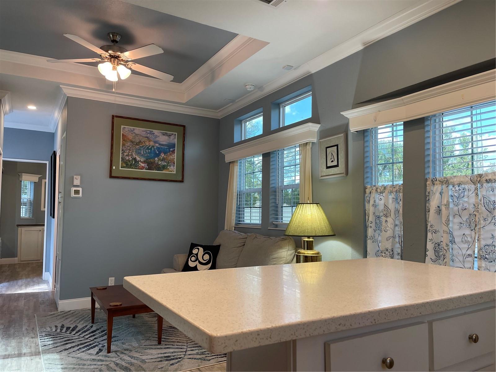 Tray Ceiling, ceiling fan with light kit and transom windows in living room add style