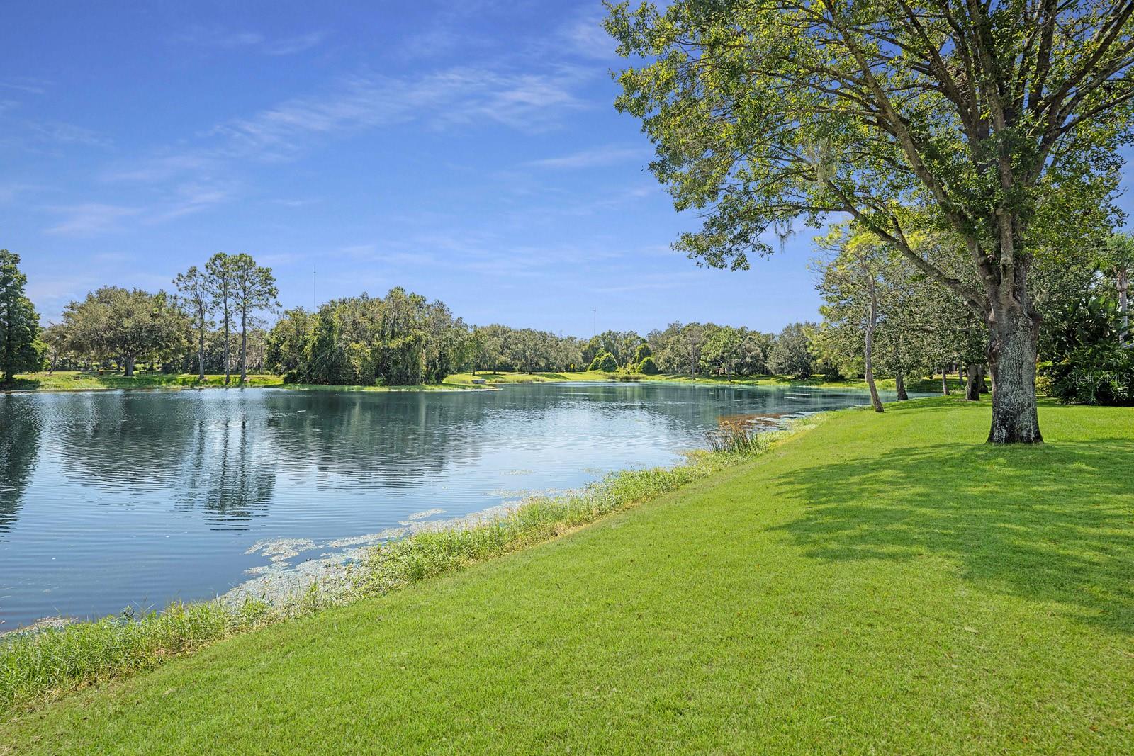 Million Dollar Pond View behind house