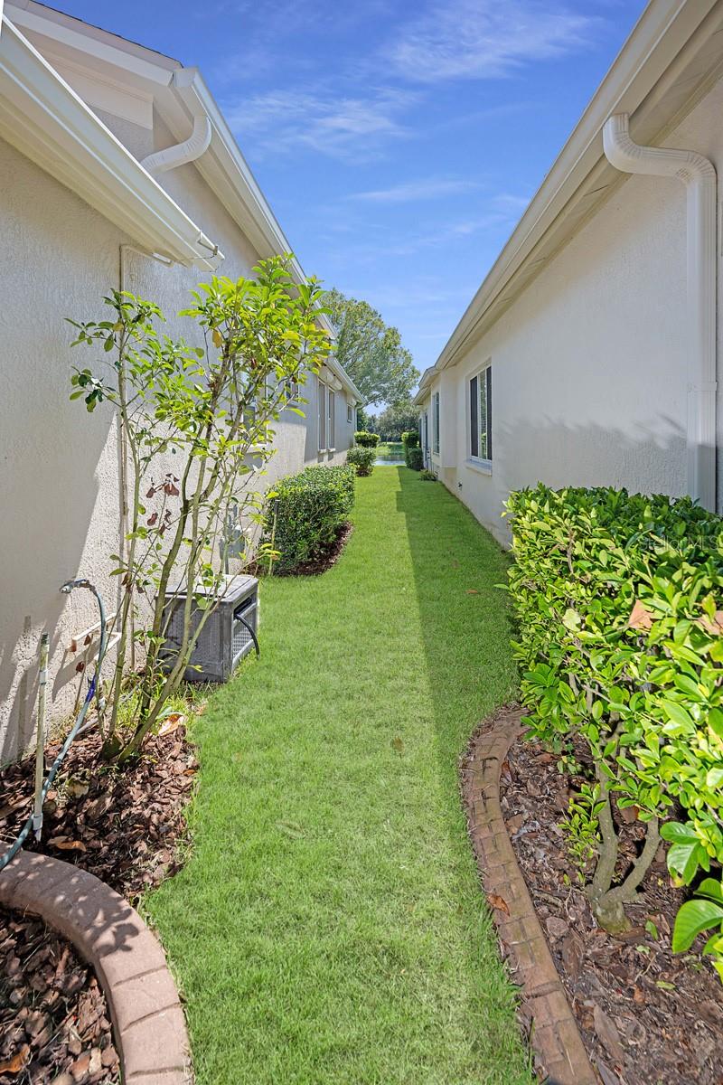 Side yard with French drain