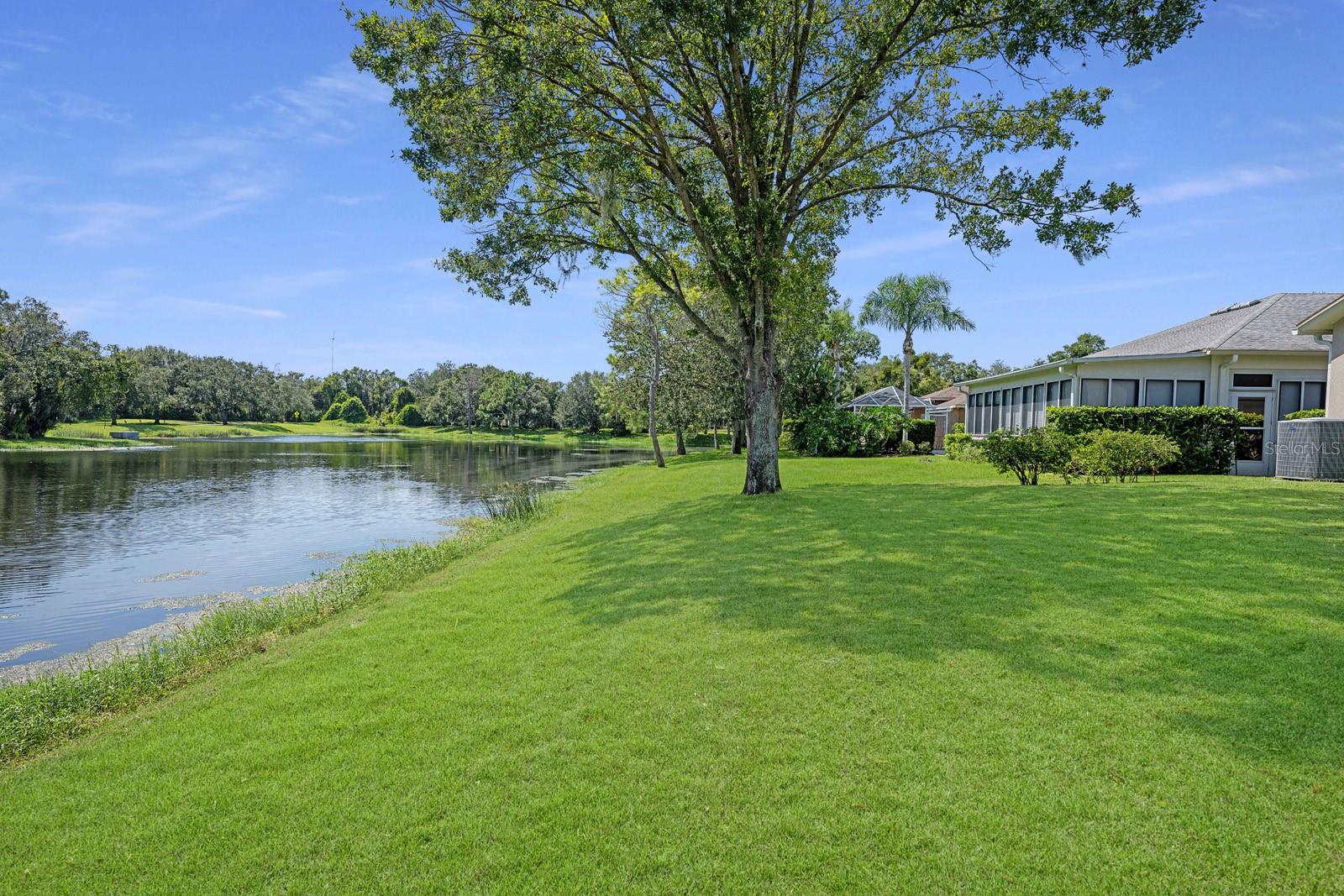 Million Dollar Pond View behind house