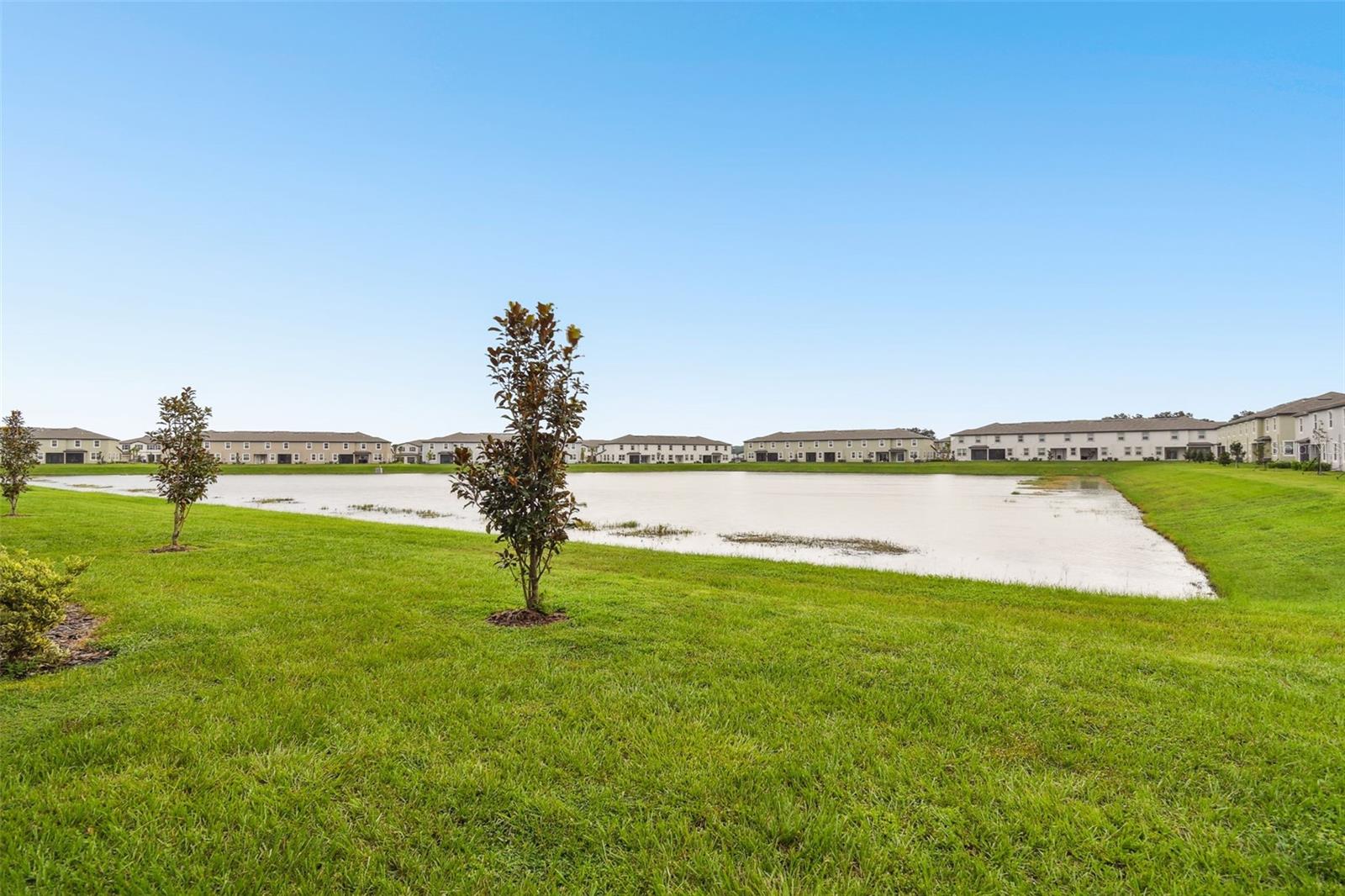 Back Yard/Pond View