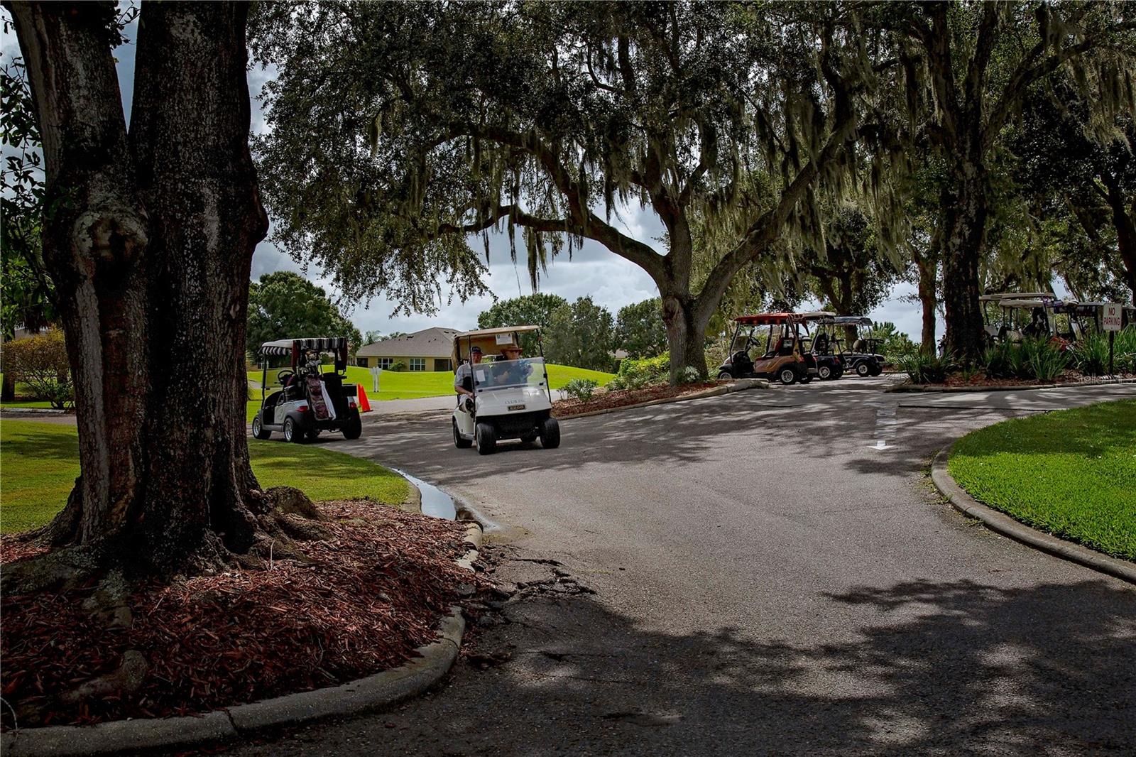 Golf carts are legal  on most streets in Sun City Center