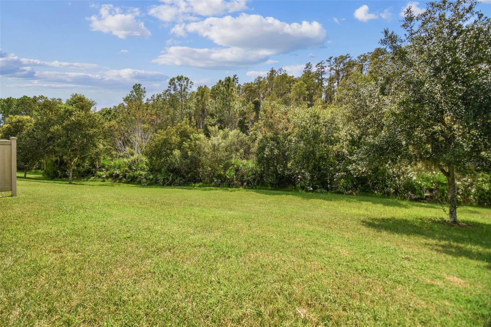 Conservation Backyard View