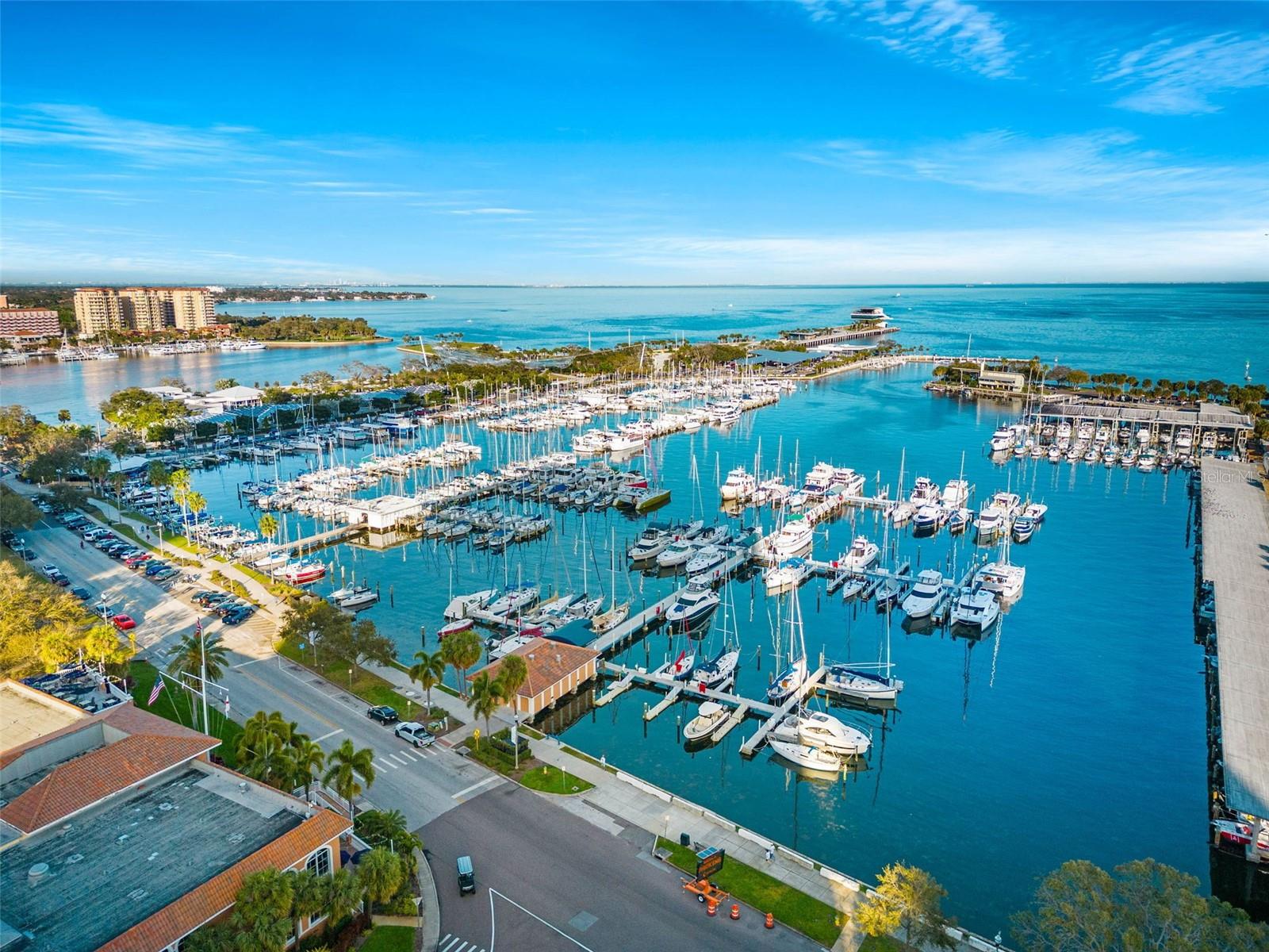 Downtown St. Pete Waterfront