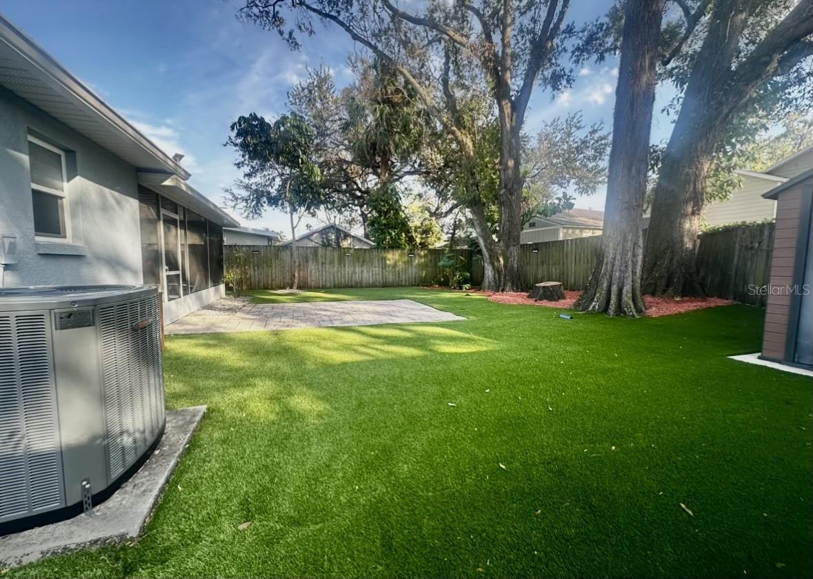 Beautiful Turf Backyard