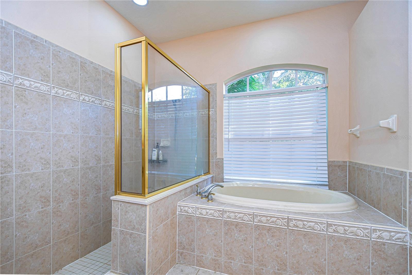 Walk-in shower and soaking tub!