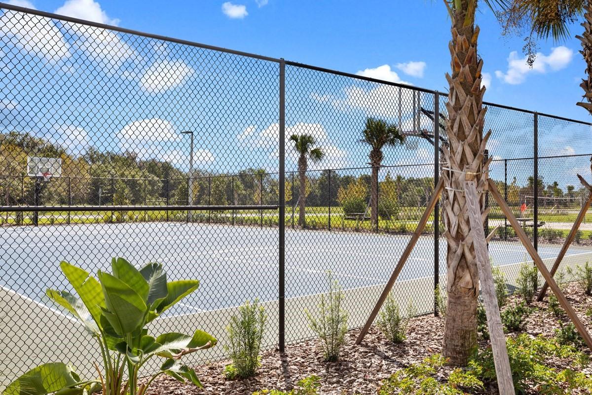 Community Basketball Court