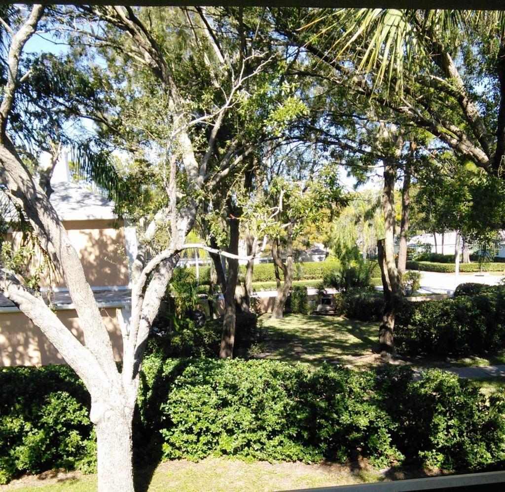 Greenspace view from walkway