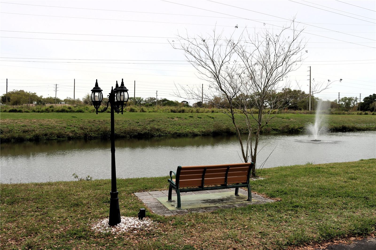 Pond view