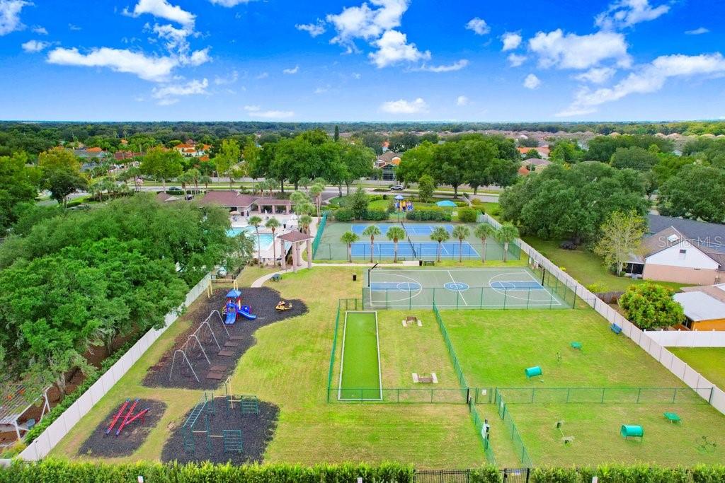 Ariel View of community amenities