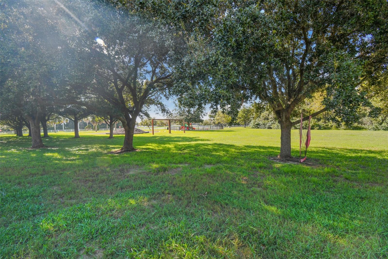 view of park from backyard