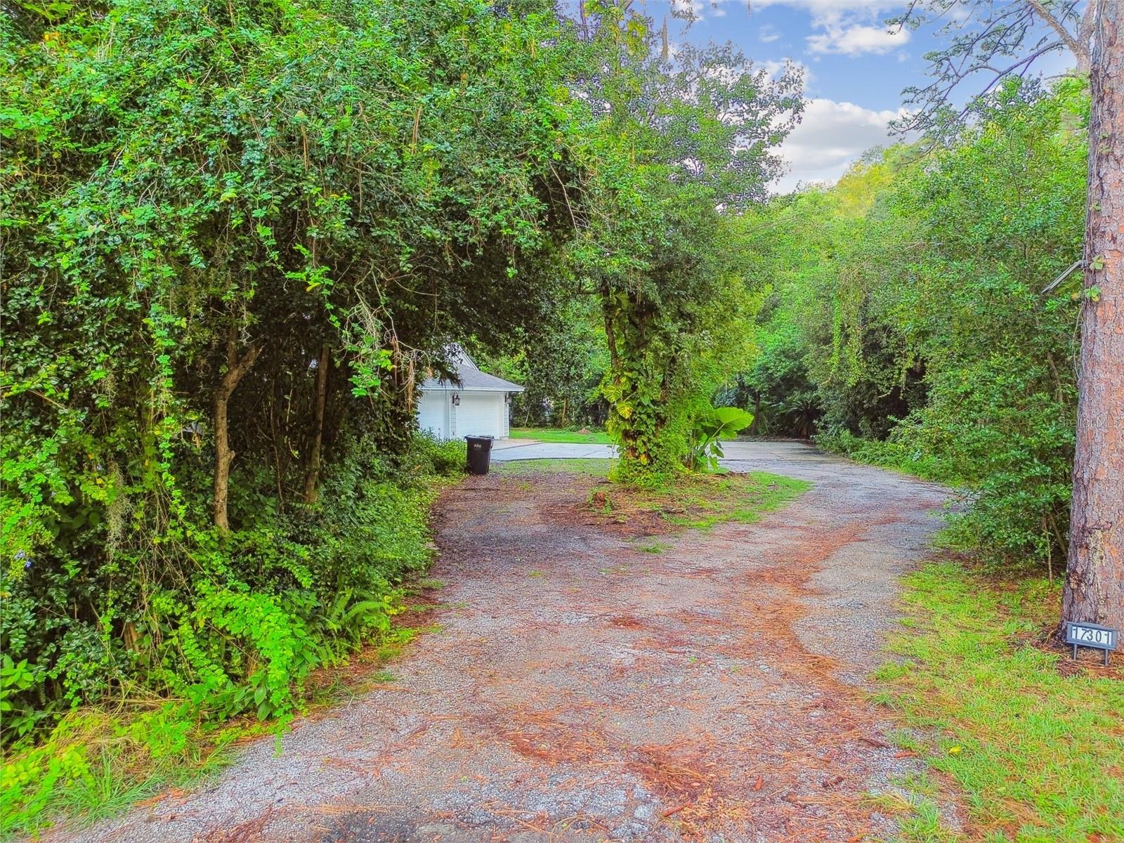 Driveway to garage