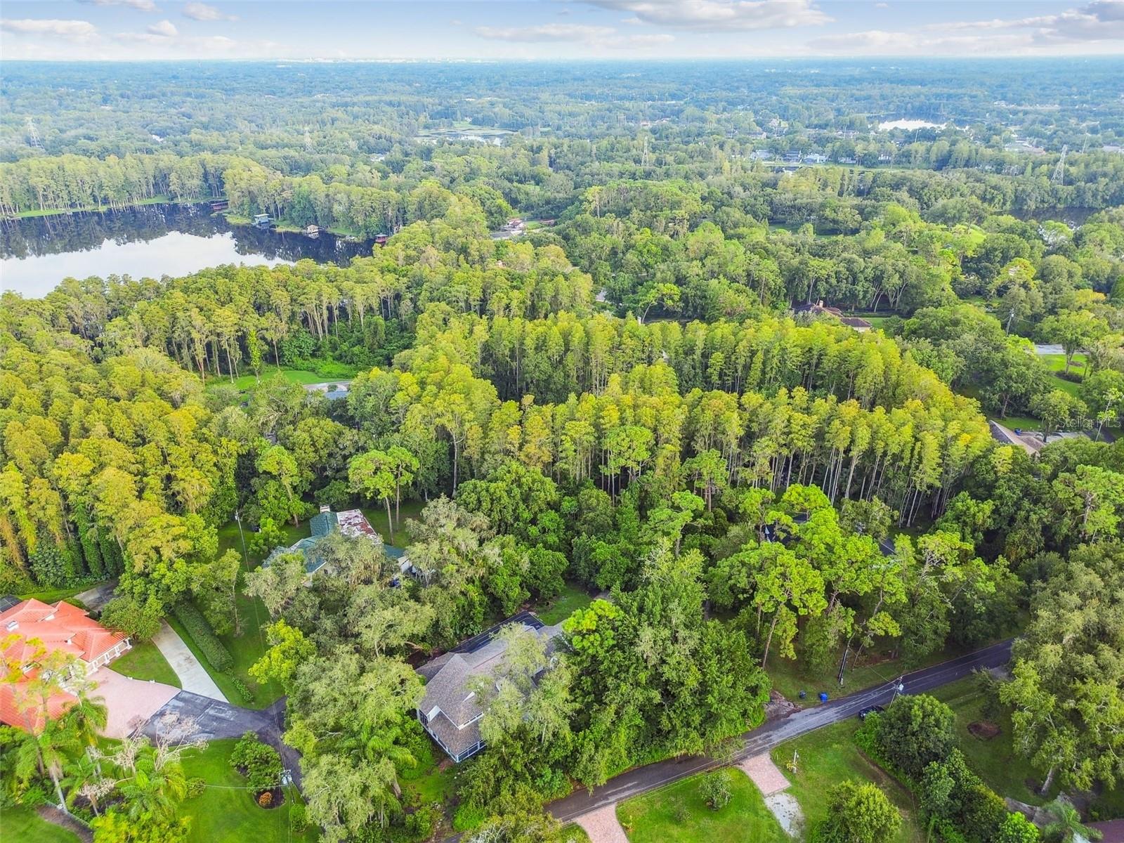 Aerial view of neighborhood