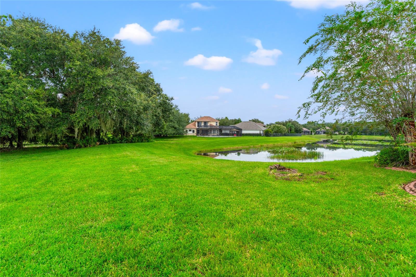 Backyard view