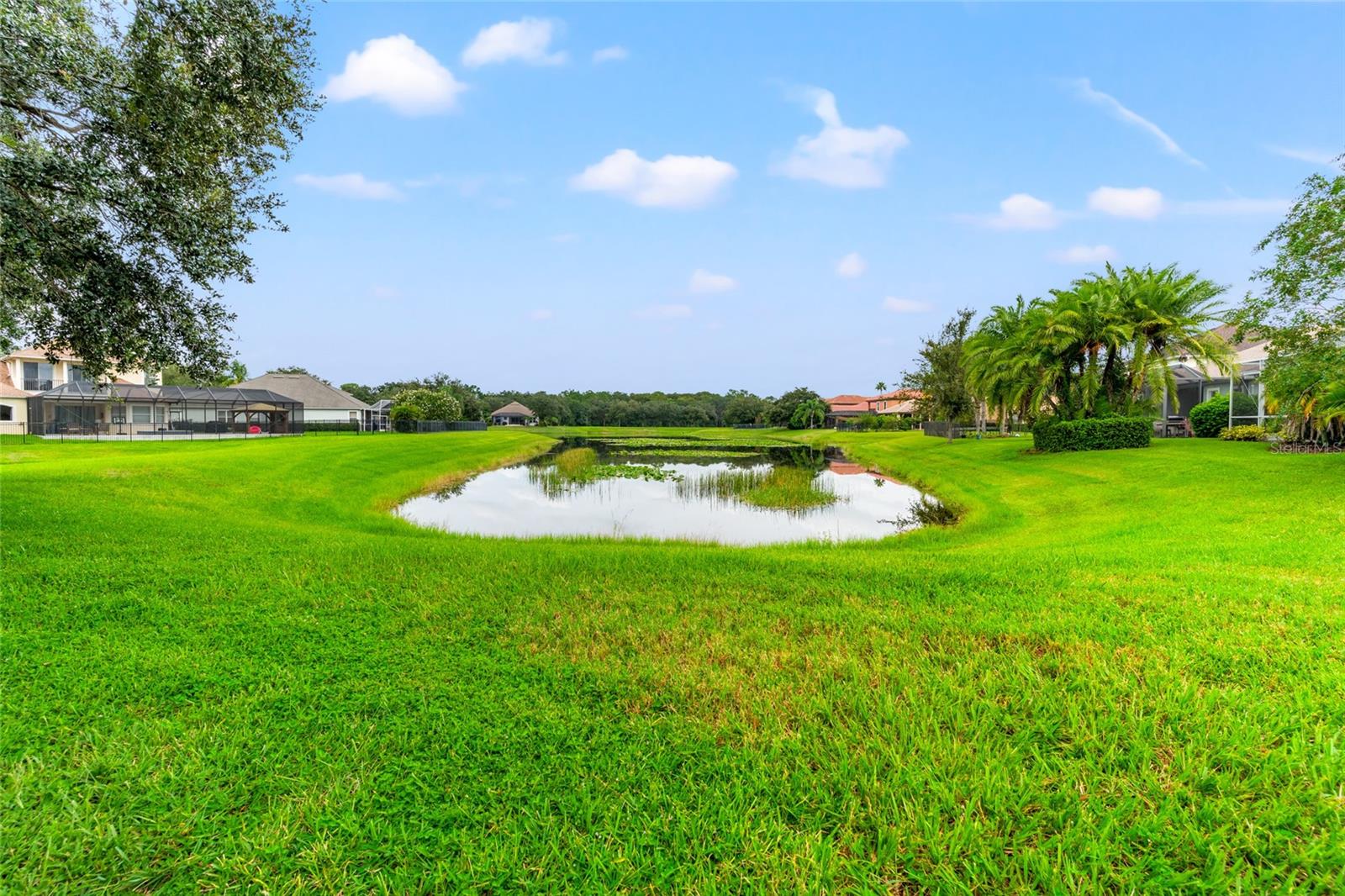 Large Backyard