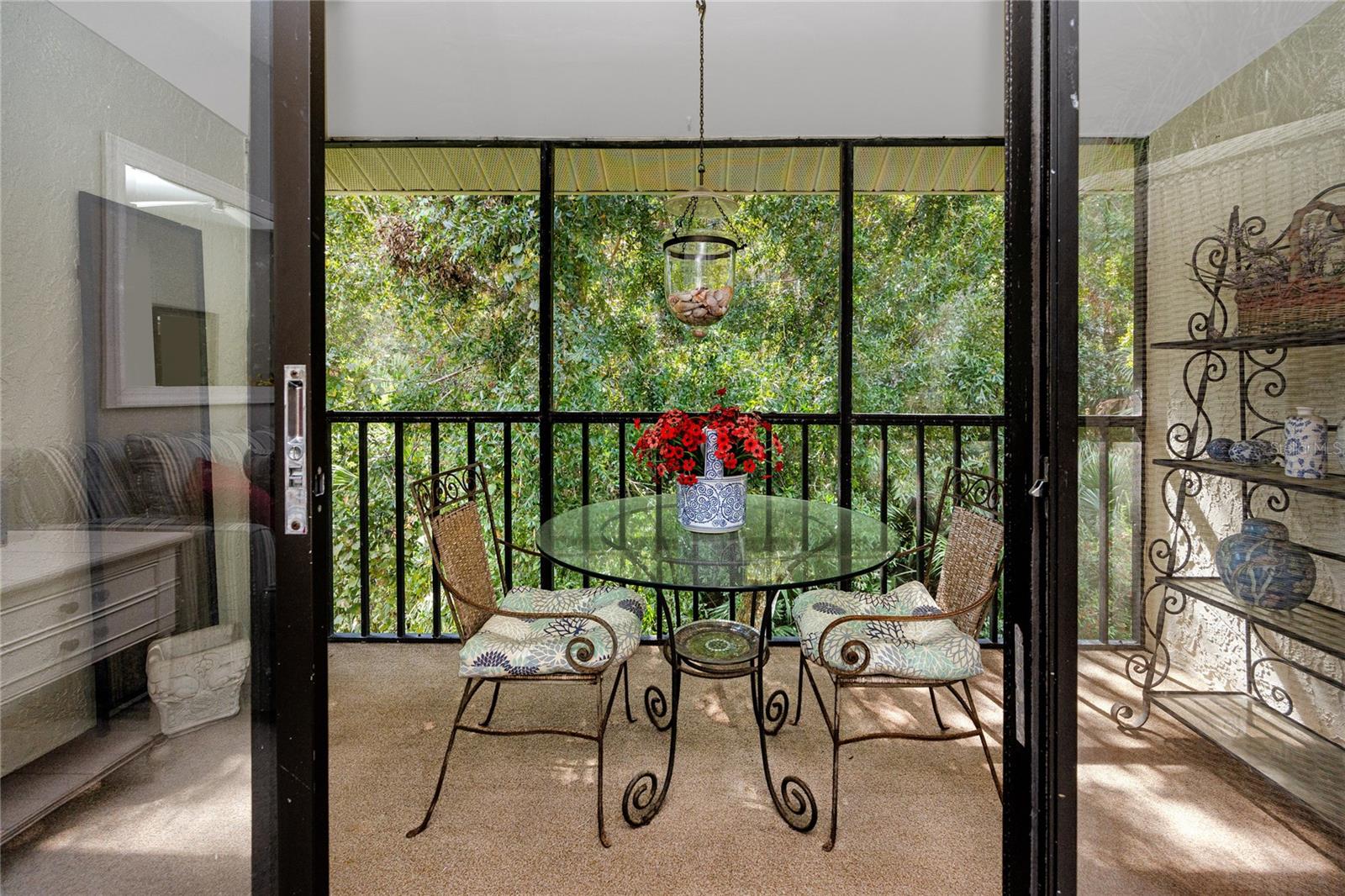 Porch overlooking the wooded backyard