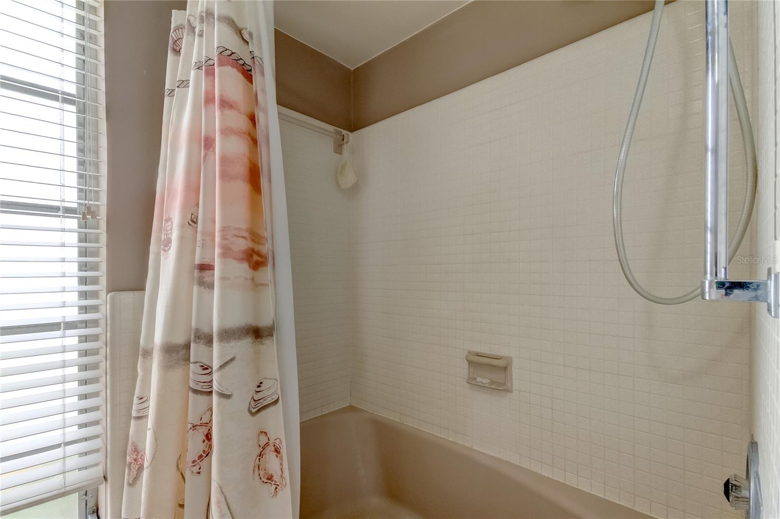 Hall bathroom tub and shower