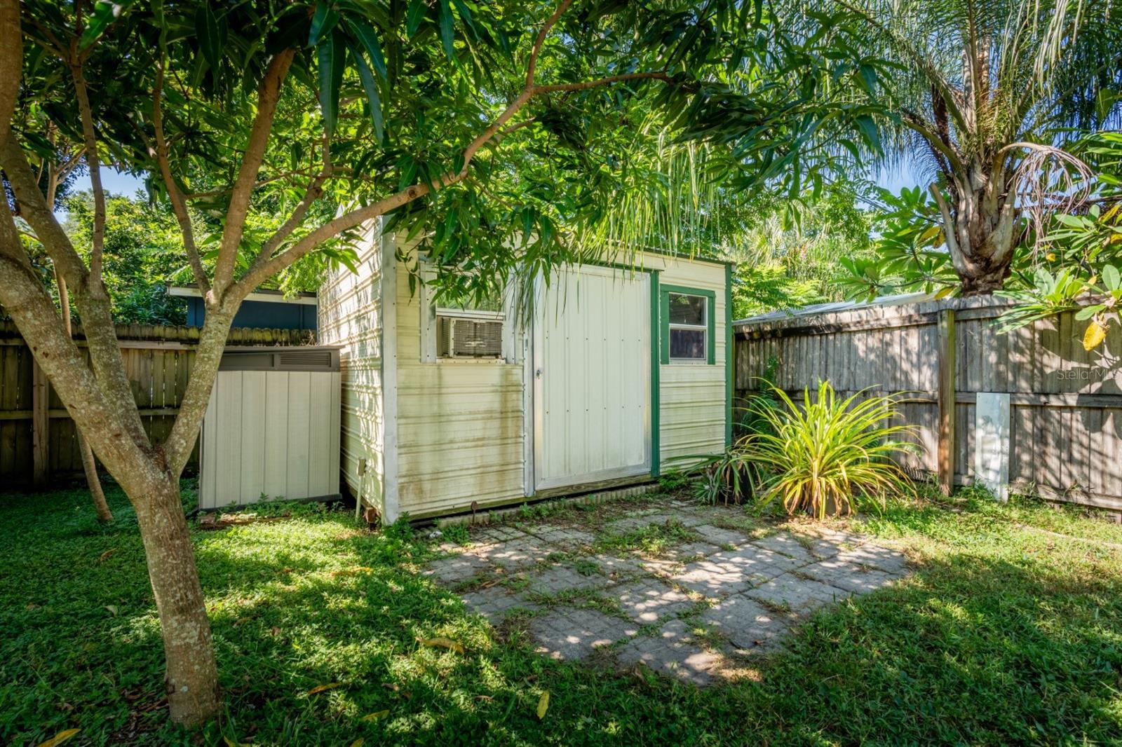 Backyard showing shed