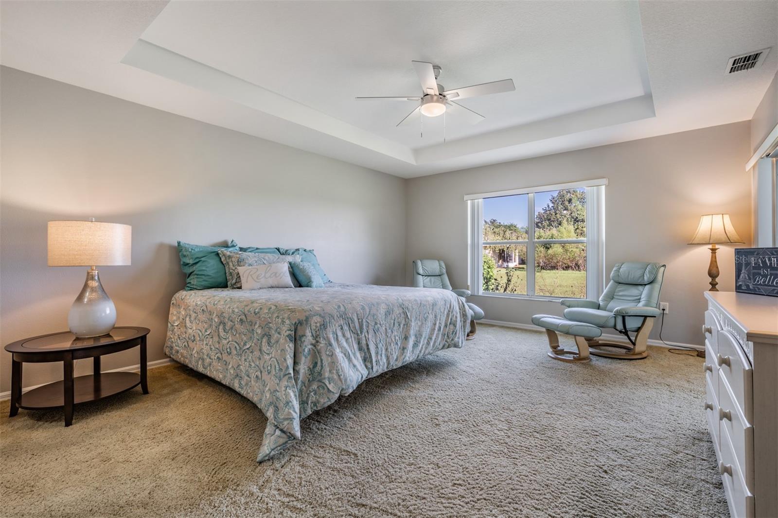 Tray ceiling in this impressive Owners retreat