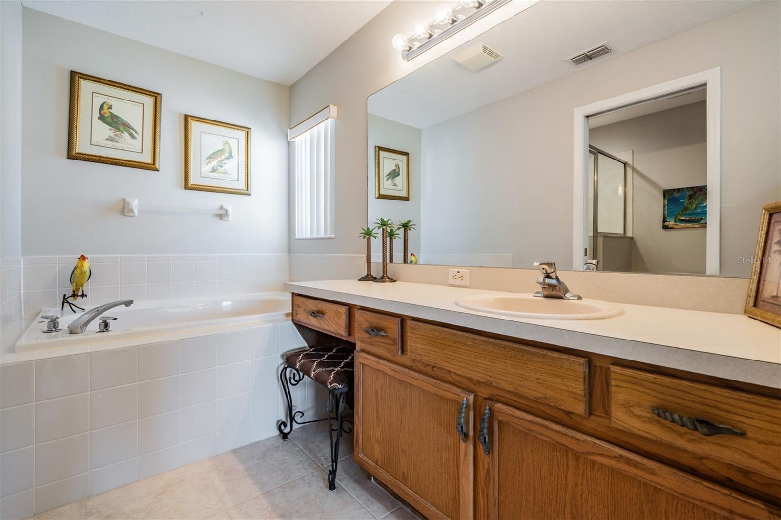 Soaking tub and extra long vanity