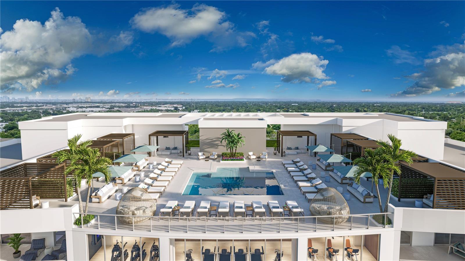 Rooftop Pool: Sunrises over Tampa Bay