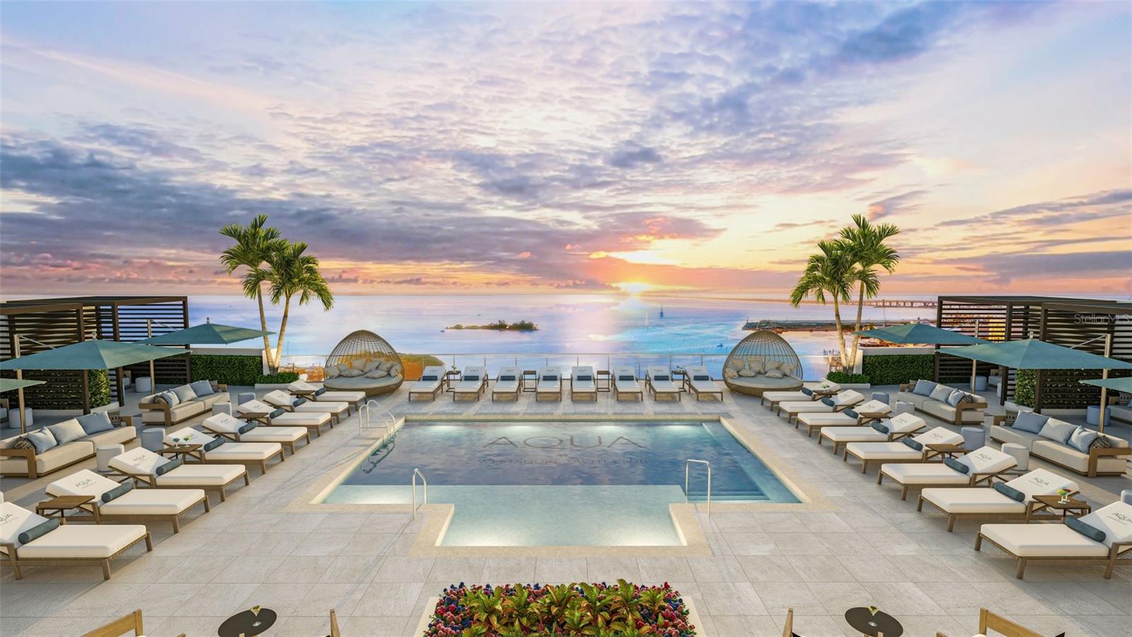 Rooftop Pool: Sunsets over the Tampa Bay