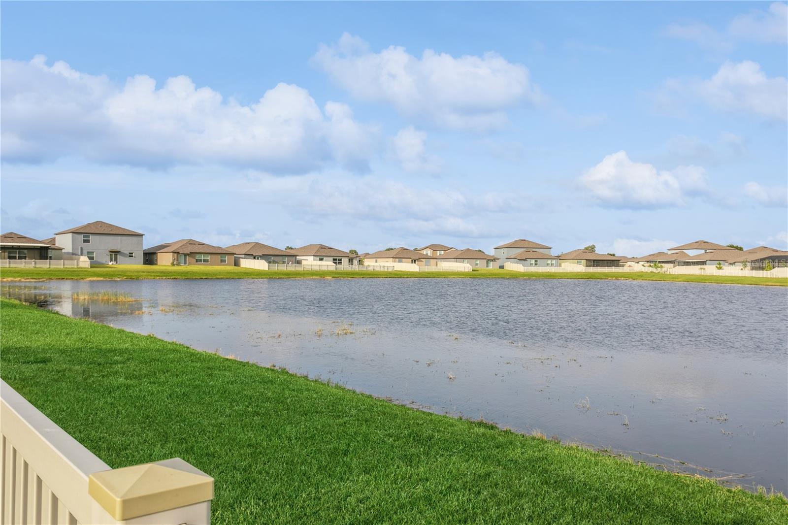 Lake Front Backyard