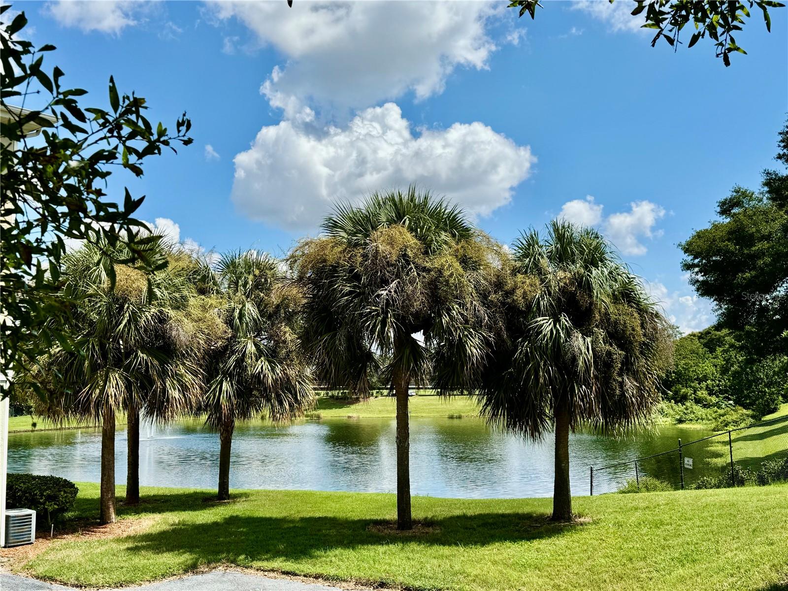 View of the Lake