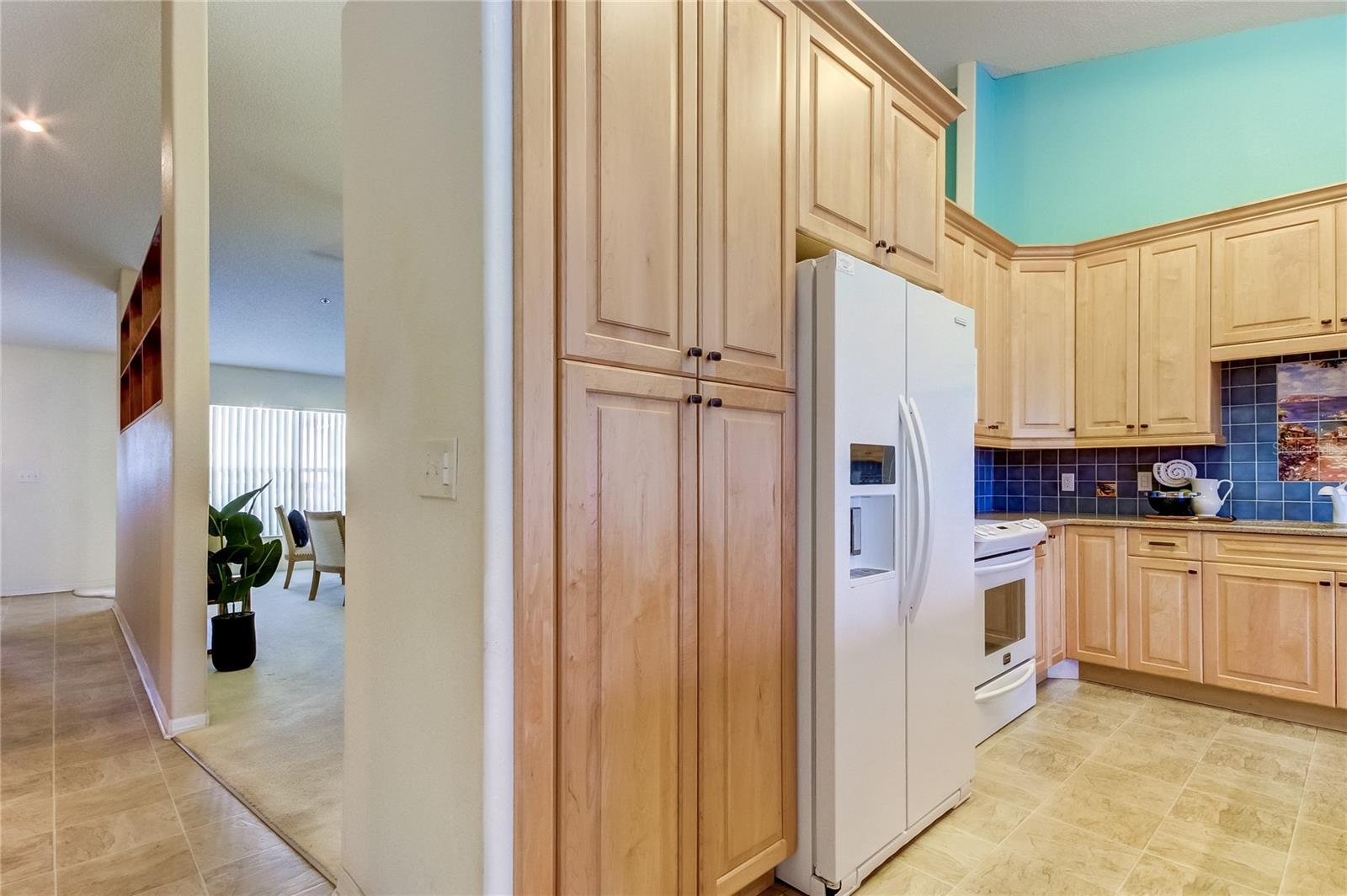 View of partial kitchen and living room.