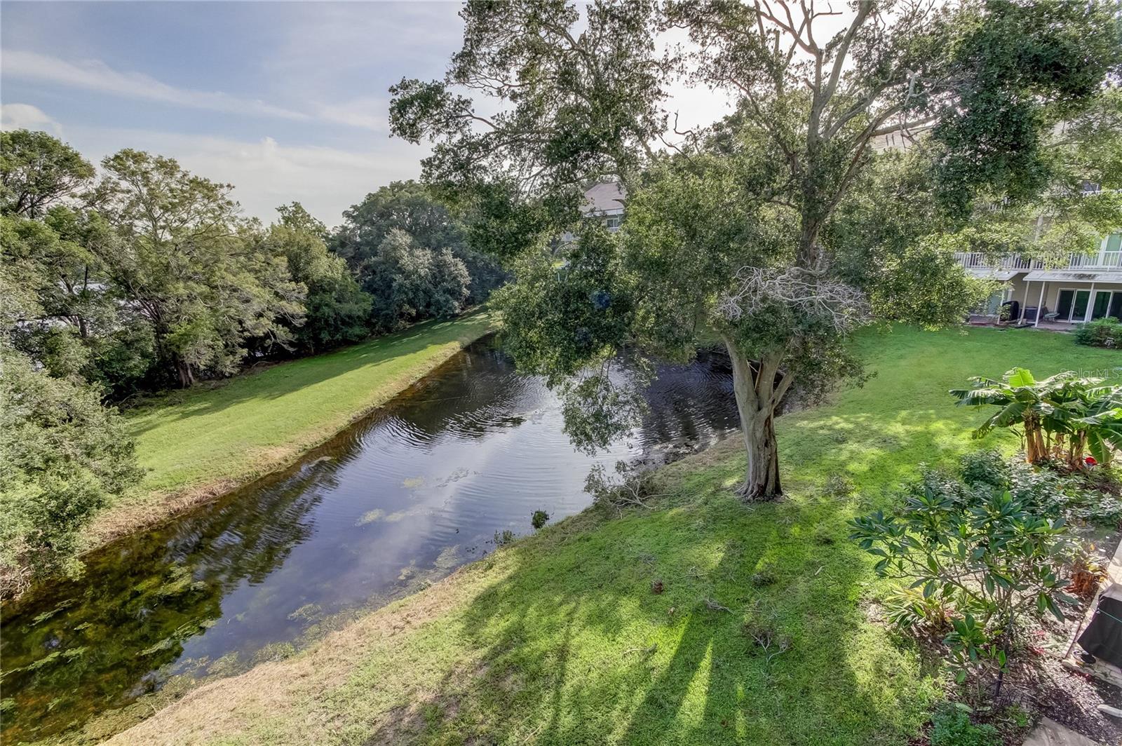 Another view of pond from balcony.