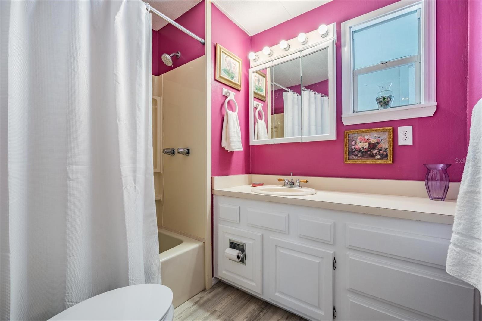 Bright guest bath with shower tub-surround